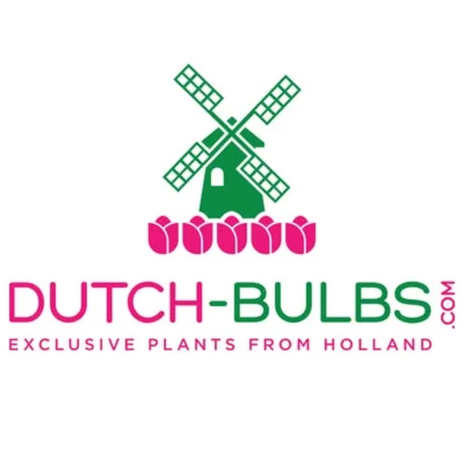 Dutch-Bulbs.com